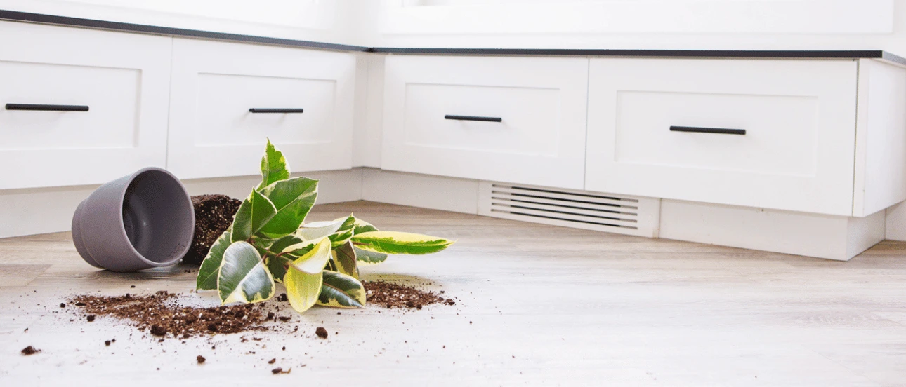 bedrijfsaansprakelijkheidsverzekering